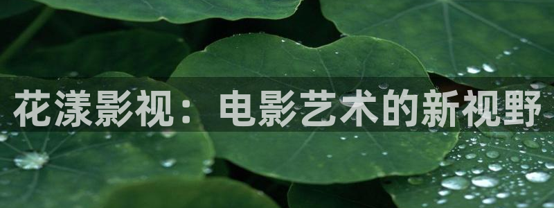 八戒八戒八戒影院：花漾影视：电影艺术的新视野